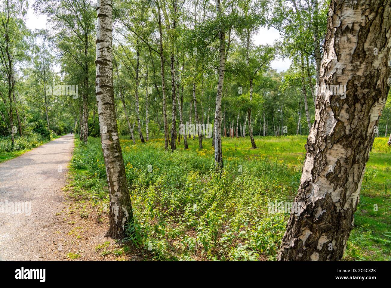 Gleispark FRINTp, ancien dépôt de fret, qui a été transformé en parc paysager après sa fermeture, Essen, NRW, Allemagne Banque D'Images