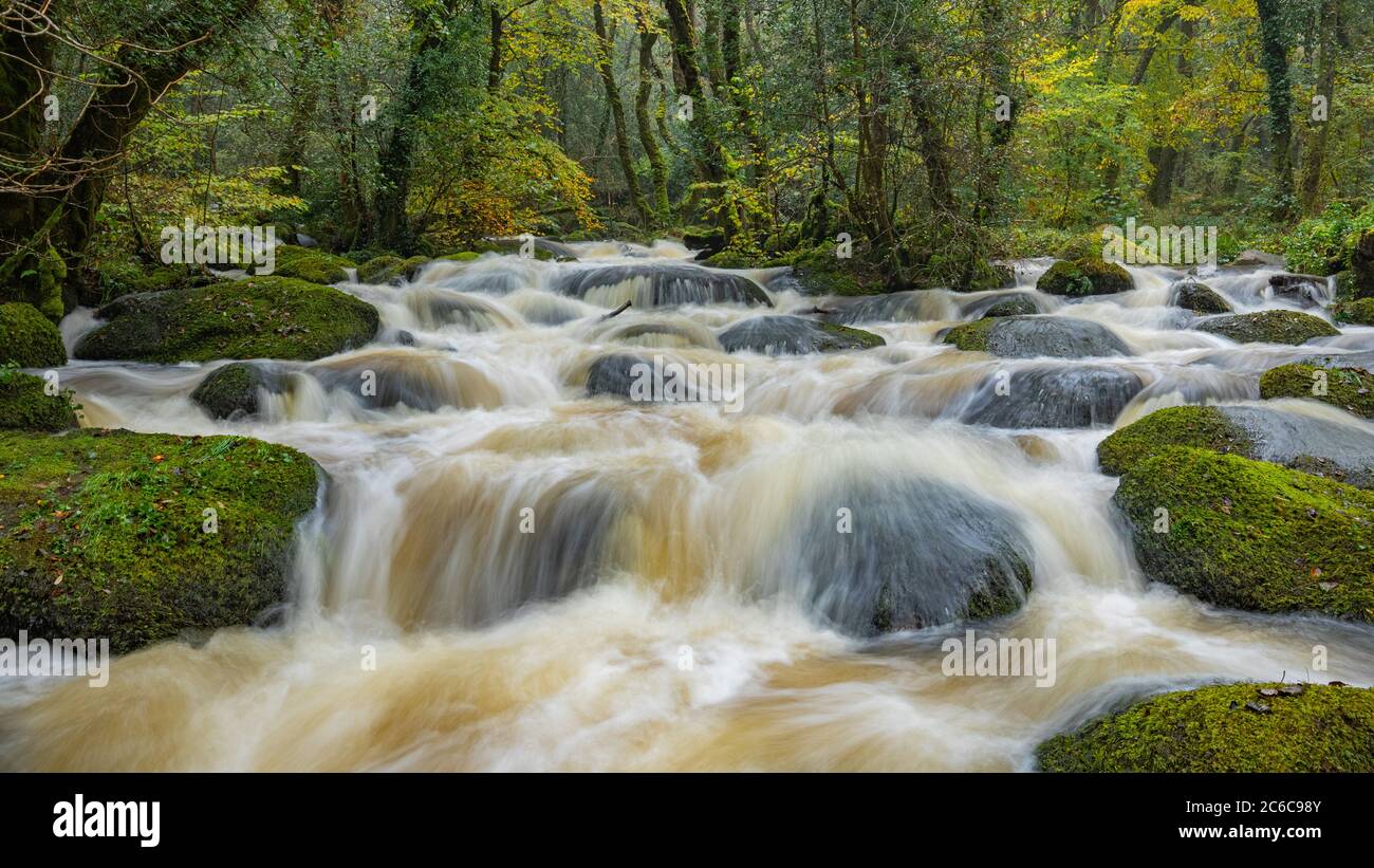 Horsham marche sur la rivière Bovey, Dartmoor Banque D'Images