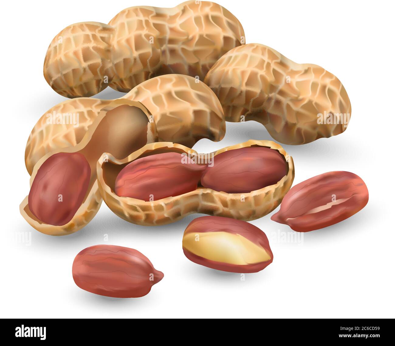 Les arachides en vecteur 3D illustration réaliste. Pour emballage avec beurre d'arachide, mélange de noix. Protéines végétales pour végétariens, un produit utile. Illustration de Vecteur