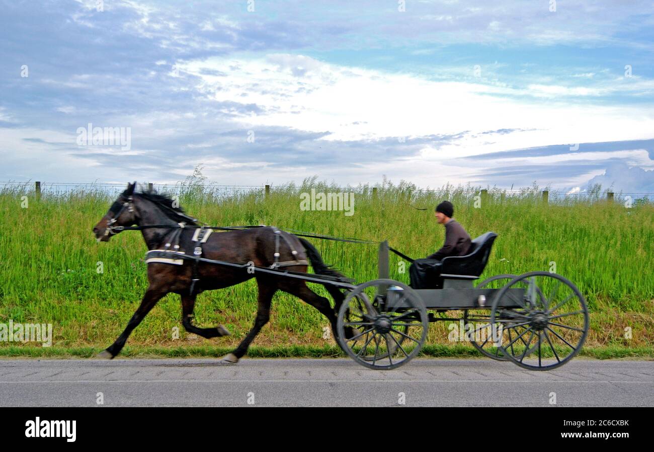 Amish Teen manèges tiré par des chevaux le long de l'autoroute 30 dans le sud du kentucky des états-unis Banque D'Images