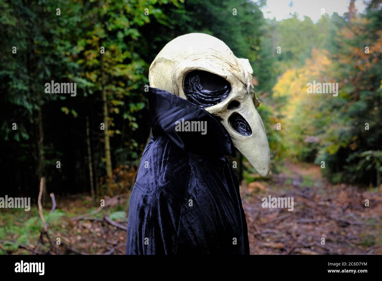 Vacances d'Halloween. Costume de corbeau de crâne. Oiseau effrayant dans la  forêt d'automne sombre.Horror et la peur Photo Stock - Alamy