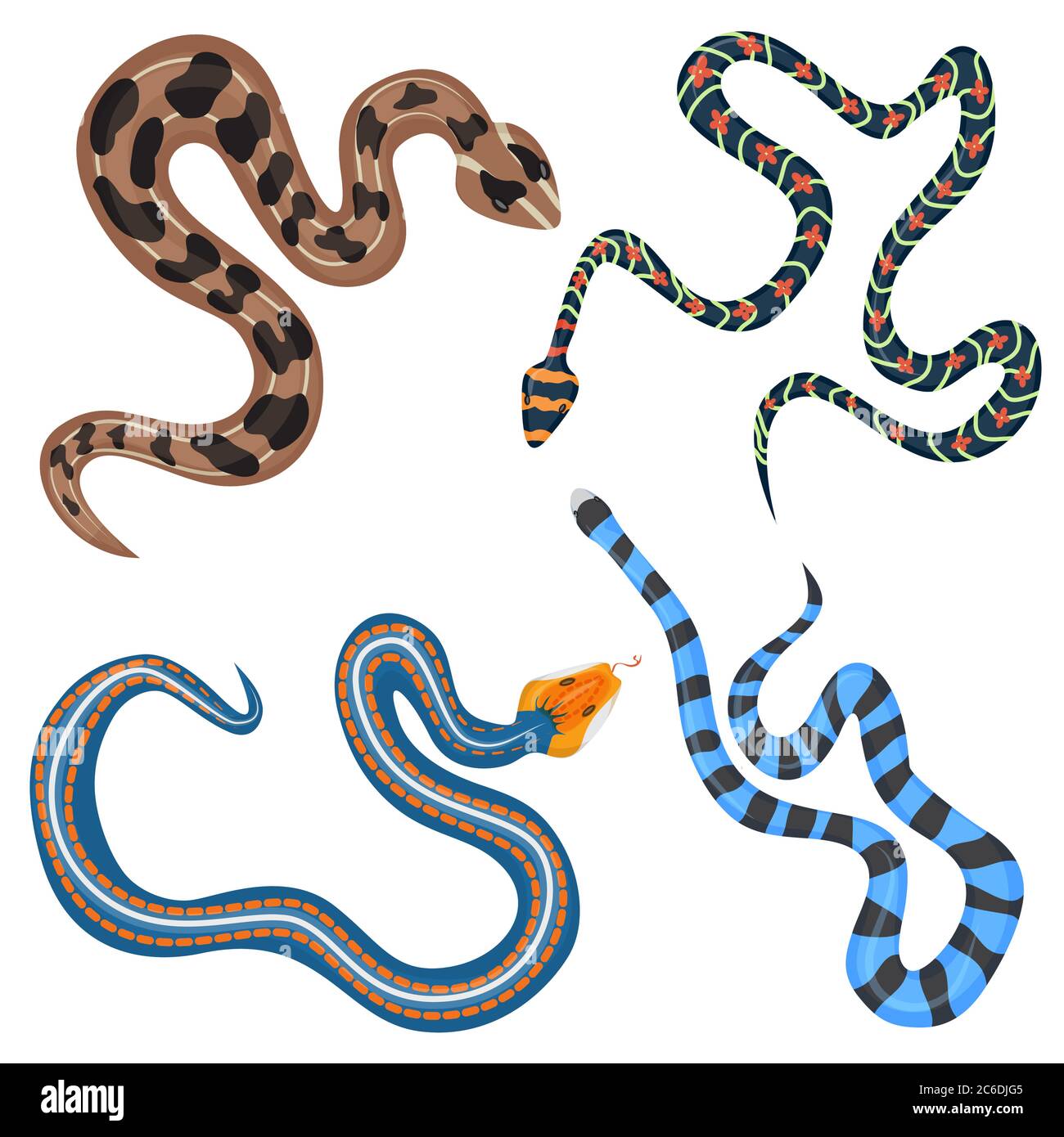 Ensemble de haut de collection Vector coloré de serpents tropicaux Illustration de Vecteur