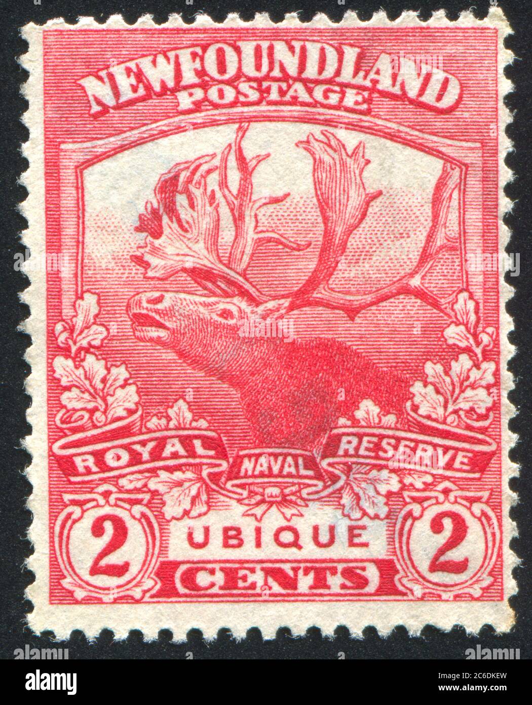 NEWFAUNDLAND - VERS 1919 : timbre imprimé par Terre-Neuve, montre Caribou, vers 1919 Banque D'Images