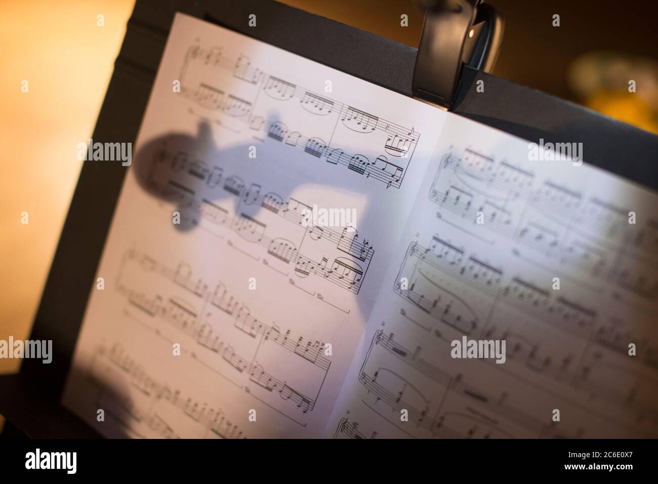 Réflexion de violon sur la musique de la feuille Banque D'Images