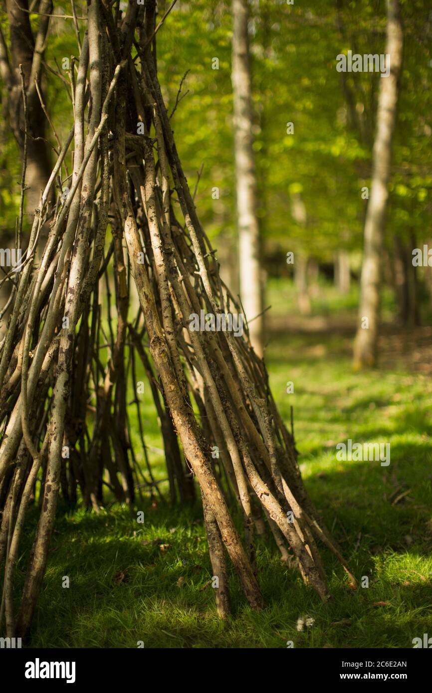 Branche tipi dans les bois Photo Stock - Alamy