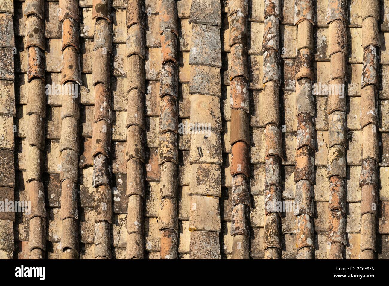 Italie, Latium, Rome, Ponte, tuiles de toit Banque D'Images
