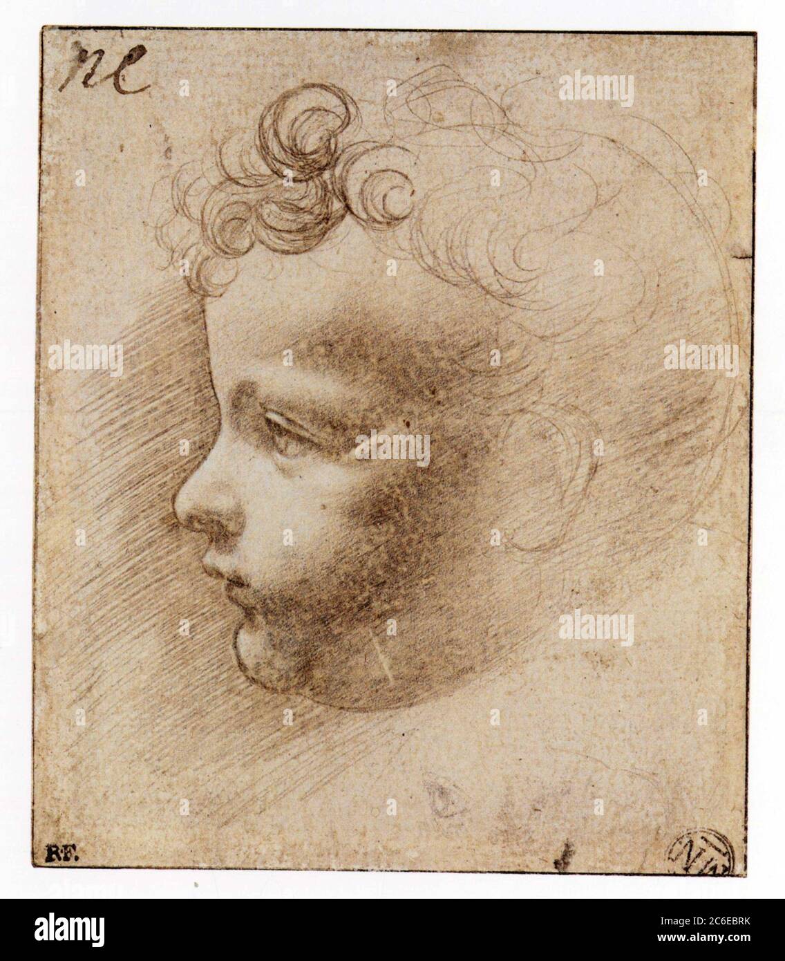 GIOVANNI ANTONIO BOLTRAFFIO. TÊTE D'UN ENFANT EN PROFIL Banque D'Images