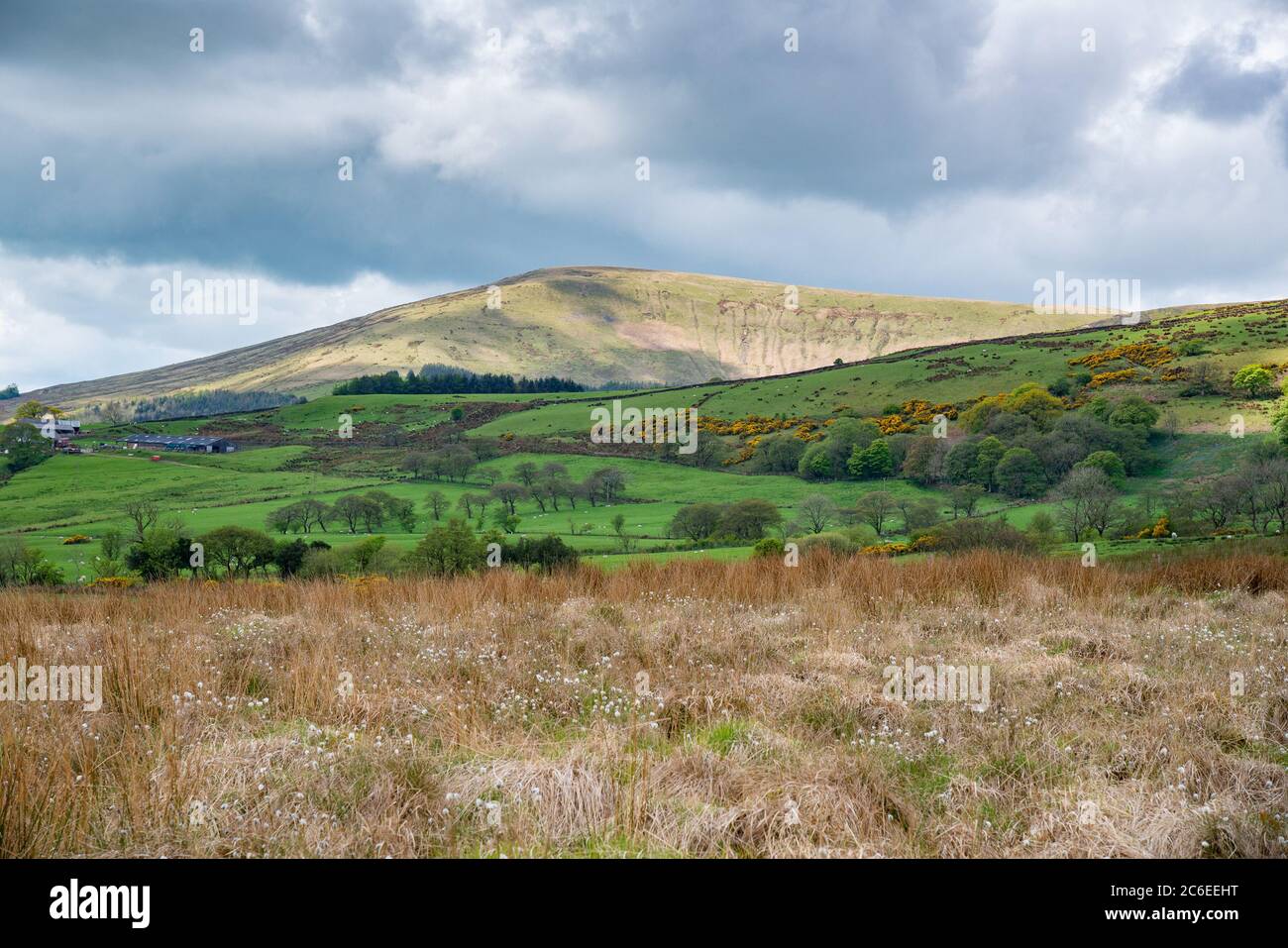 Paysage de terres agricoles et de coquillages en haut, Chipping, Preston, Lancashire. Banque D'Images