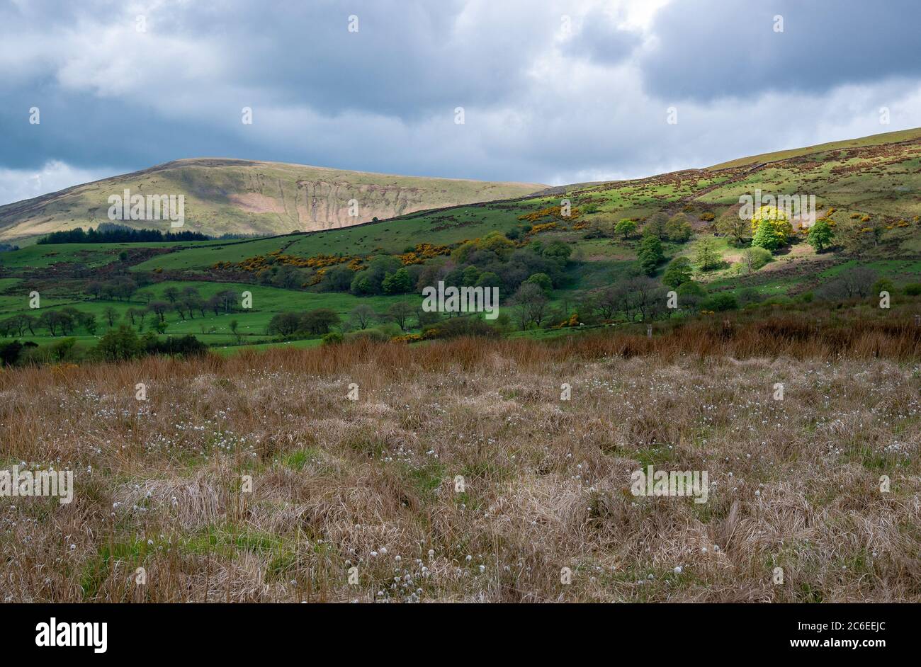 Paysage de terres agricoles et de coquillages en haut, Chipping, Preston, Lancashire. Banque D'Images