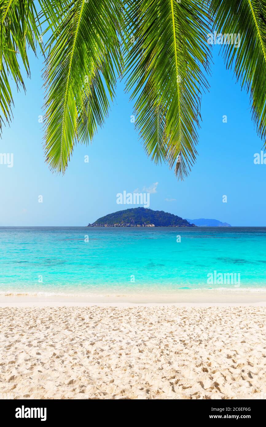 Belle plage et ciel bleu dans les îles Similan, Thaïlande. Fond d'écran des vacances. Vue sur la belle plage tropicale. Voyage vacances d'été Banque D'Images