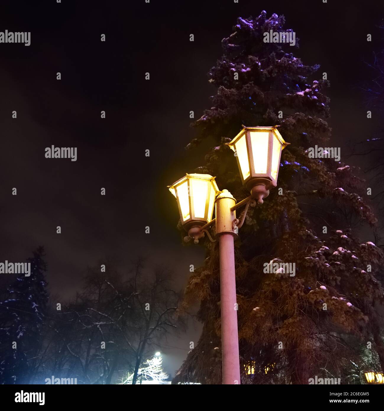Paysage d'hiver avec lampe de rue contre pin la nuit, Voronezh, Russie Banque D'Images