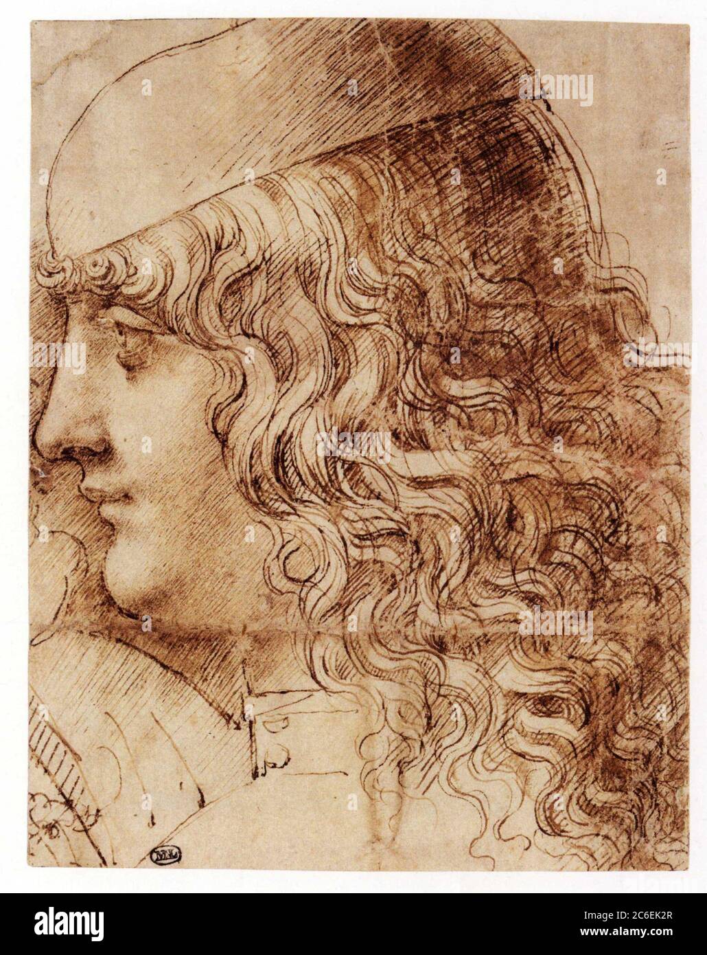 GIOVANNI ANTONIO BOLTRAFFIO. PORTRAIT D'UN JEUNE EN PROFIL. Banque D'Images