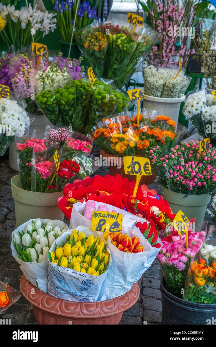 Italie, Latium, Rome, Regola, Campo de Fiori Banque D'Images