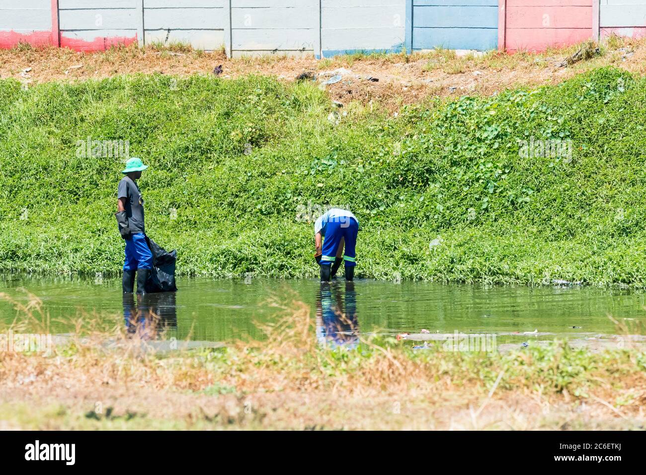 Les hommes ou les personnes africains qui nettoient une rivière polluée au Cap, en Afrique du Sud, ont un concept de sensibilisation et de soins environnementaux en Afrique Banque D'Images