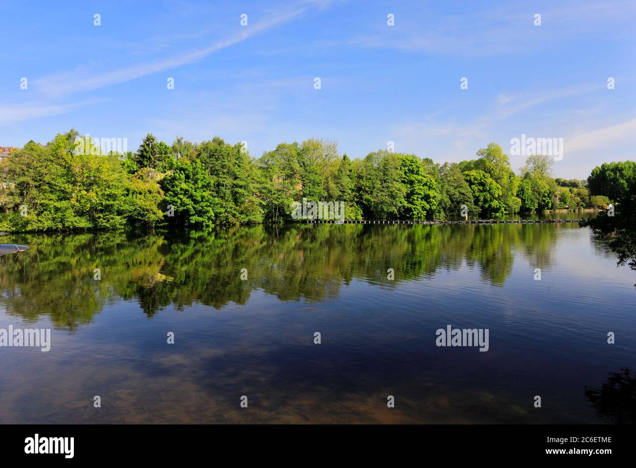 Vue de printemps sur les jardins de la rivière, la rivière Derwent, Belper Town, Amber Valley, Derbyshire Dales, Angleterre, Royaume-Uni Banque D'Images