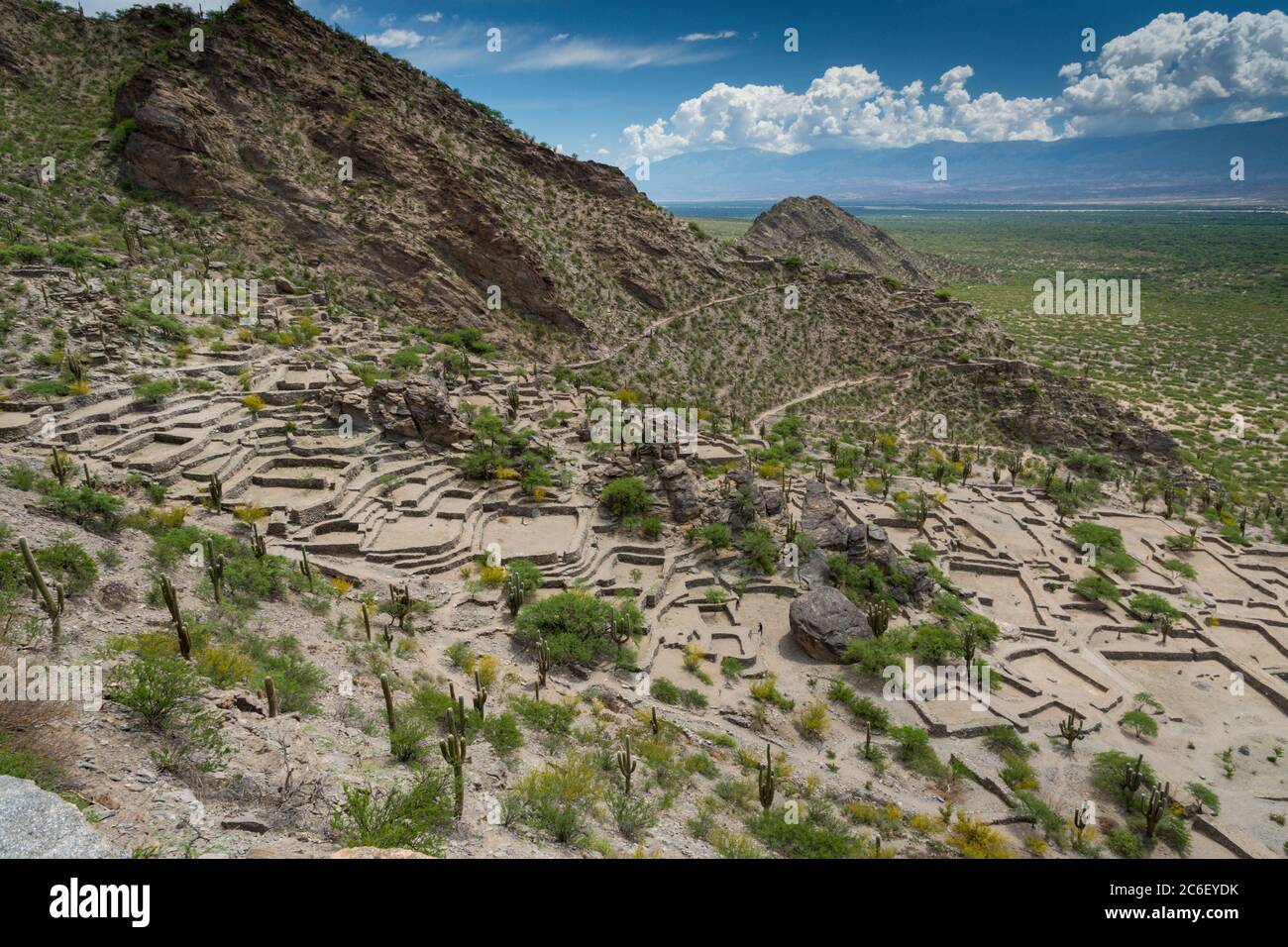 Ruinas de Quilmes au sud de Cafayate le long de Ruta 40 à Tucumán, Argentine Banque D'Images