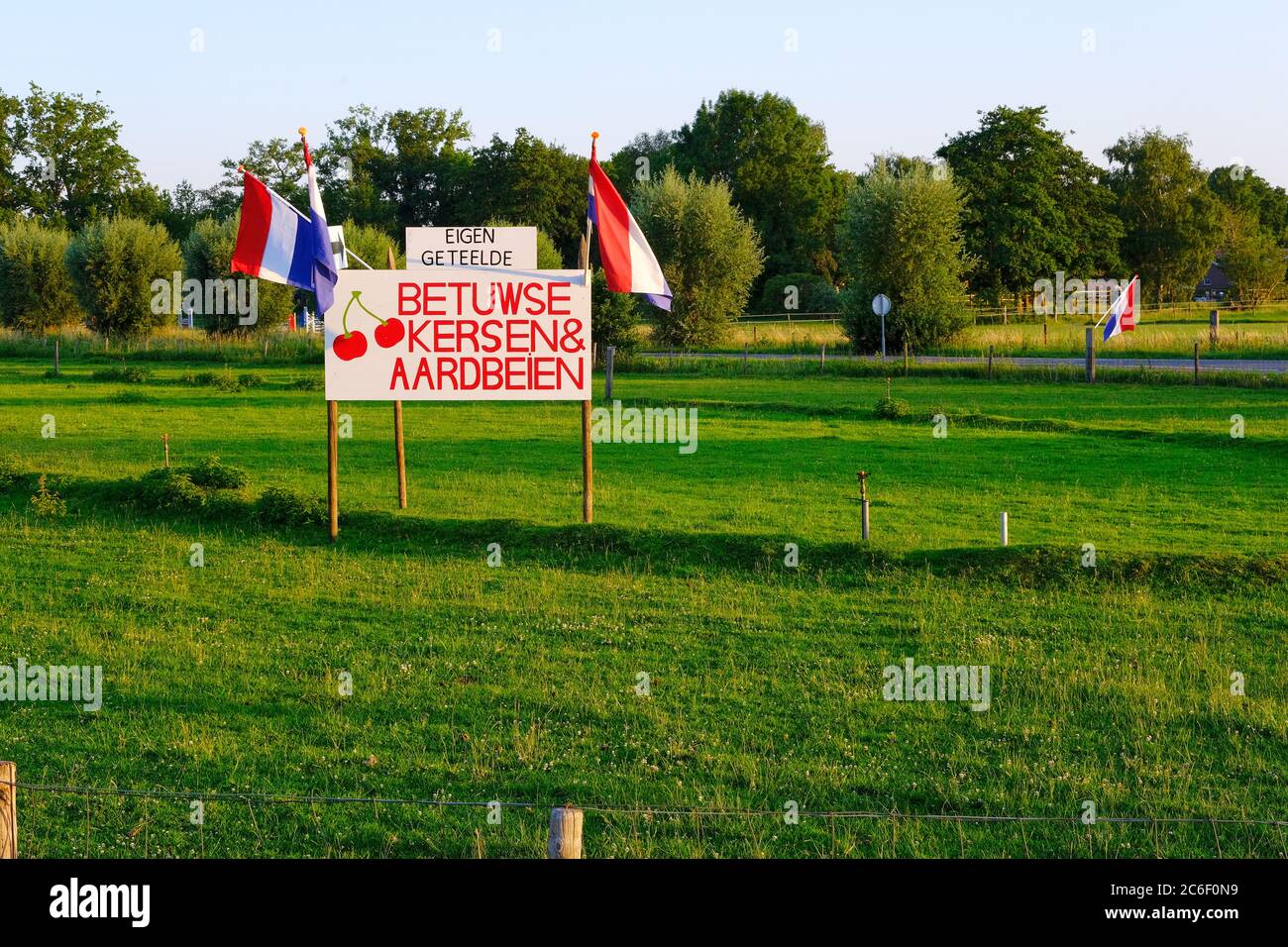 Signe hollandais qui dit:'Accueil cerises et fraises à vendre, de Betuwe Hollande'. Pour la vente, panneau dans les prairies avec drapeaux hollandais, au coucher du soleil Banque D'Images