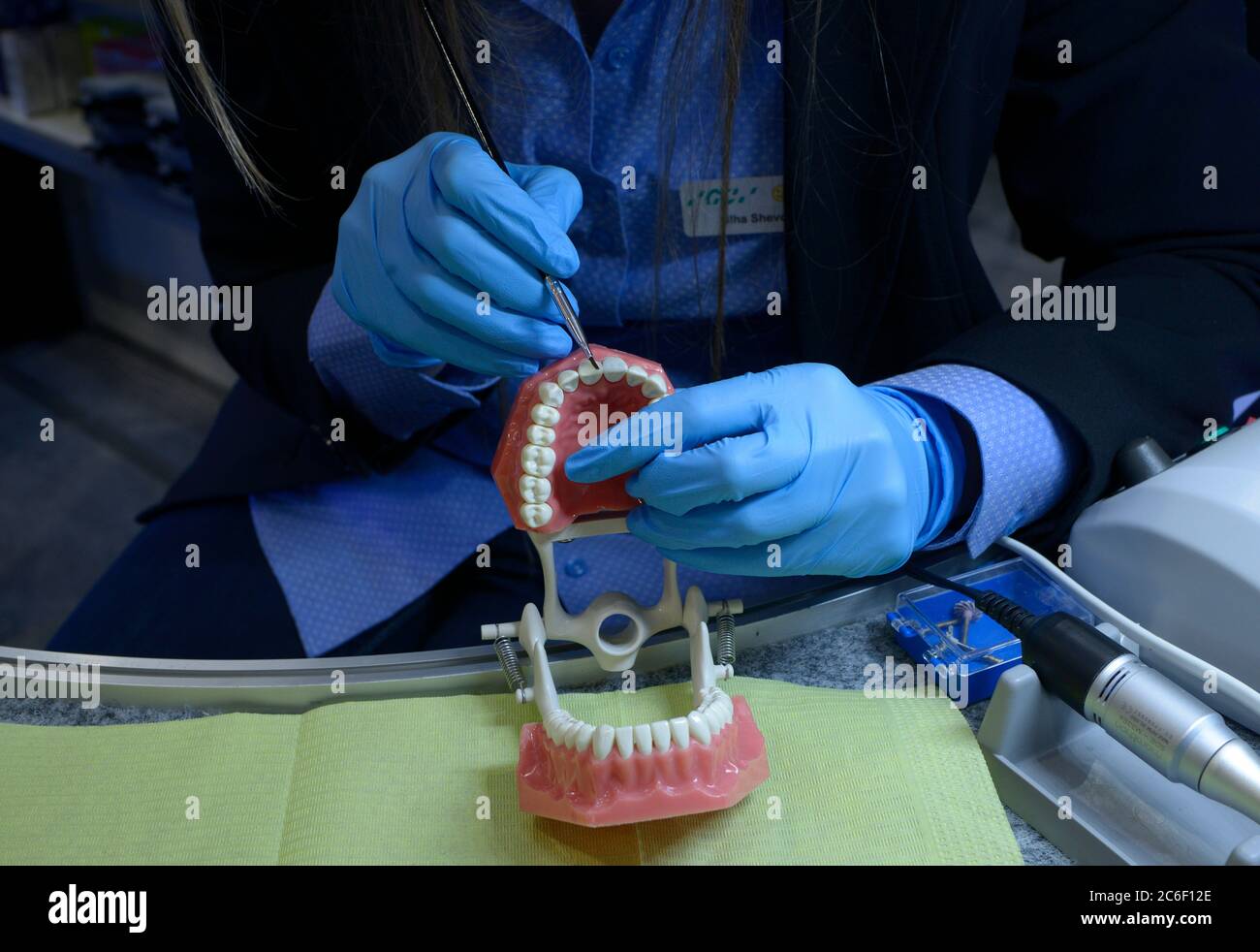 Femme mains dans des gants bleus tenant la brosse dentaire au-dessus de la typographie, moulage en plastique des mâchoires et des dents humaines, montrant la manière de traitement dentaire Banque D'Images