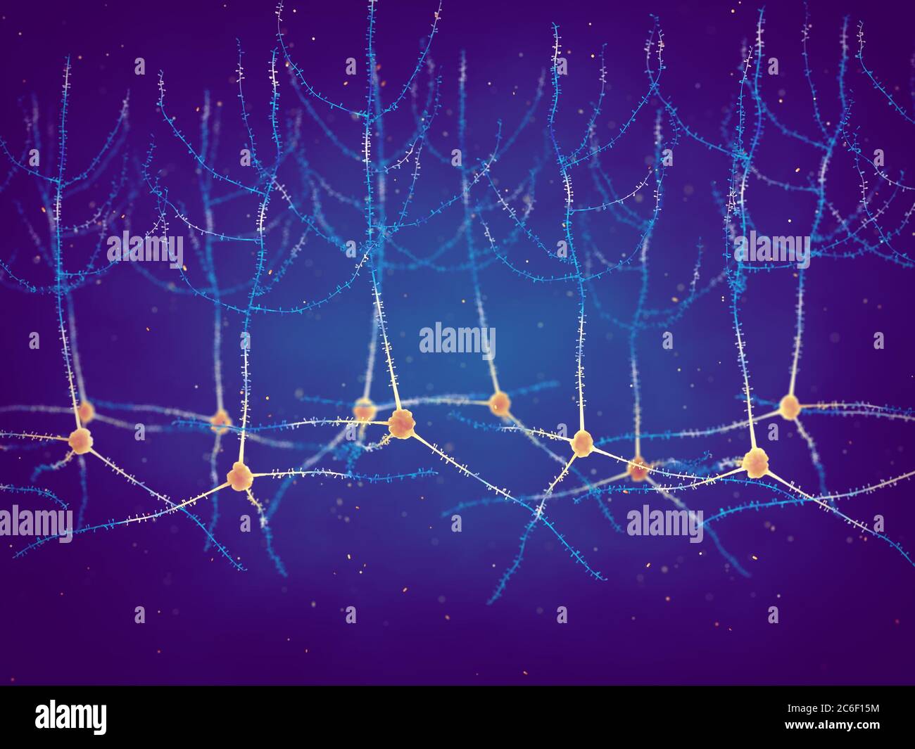 Les neurones pyramidaux, également connus sous le nom de cellules pyramidales, se trouvent dans le cortex cérébral, l'hippocampe et l'amygdale, la plasticité synaptique Banque D'Images Les neurones pyramidaux, également connus sous le nom de cellules pyramidales, se trouvent dans le cortex cérébral, l'hippocampe et l'amygdale, la plasticité synaptique Banque D'Images