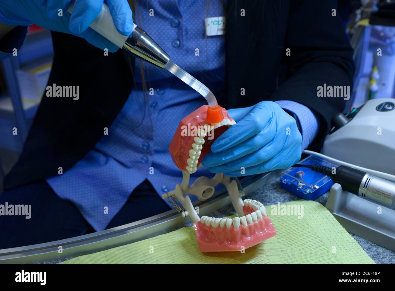 Montrer la voie du traitement dentaire. Main de femme en gants bleus brillant sur le typopótoque, moulage plastique des mâchoires et des dents humaines, avec la lampe photopolymère Banque D'Images