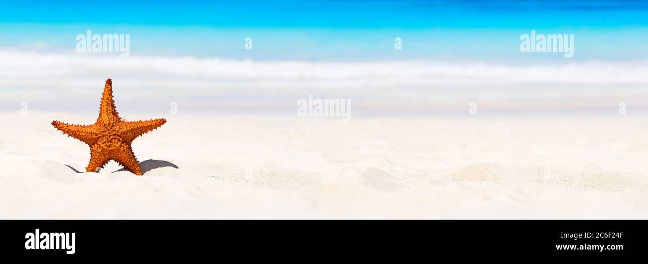 Panorama de la plage d'été avec étoiles de mer et fond bleu. Paysage d'été tropical. Concept vacances d'été. Banque D'Images