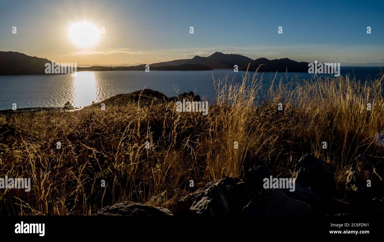soleil bas sur le lac titicaca avec des herbes dorées au premier plan et un groupe d'îles en arrière-plan Banque D'Images
