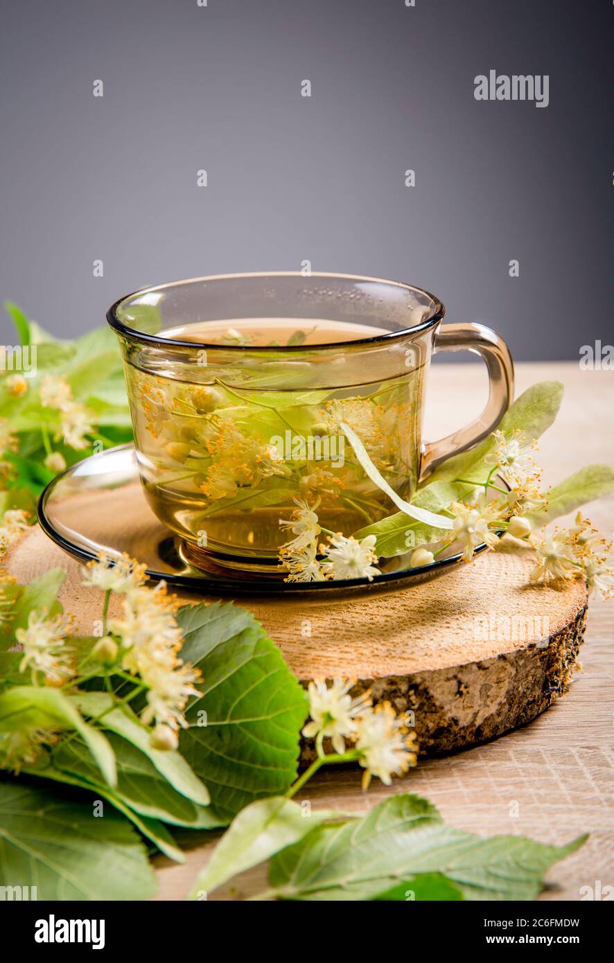 Tilia platyphyllos connu comme thé à base de plantes de linden à grands feuilles, fait d'une fleur fraîchement cueillie avec des feuilles d'arbre et des branches avec des fleurs pour la déco Banque D'Images