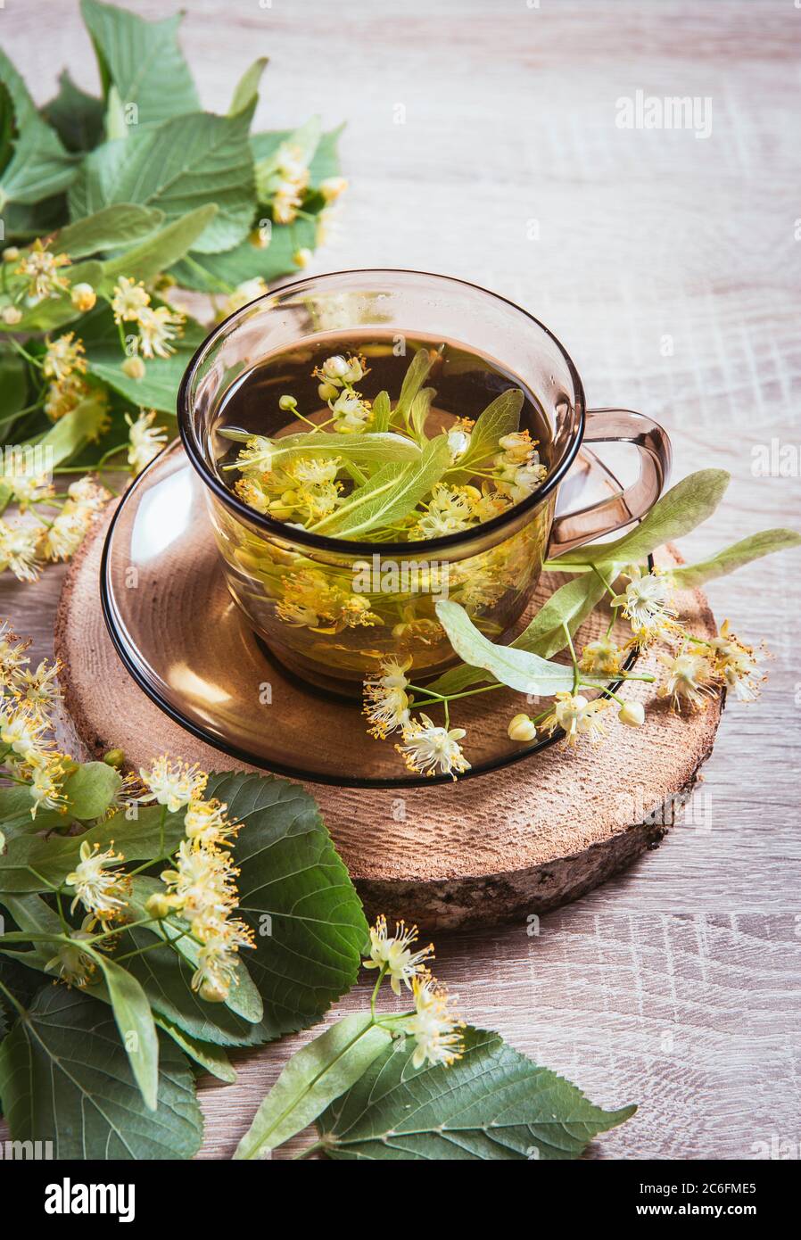 Tilia platyphyllos connu comme thé à base de plantes de linden à grands feuilles, fait d'une fleur fraîchement cueillie avec des feuilles d'arbre et des branches avec des fleurs pour la déco Banque D'Images