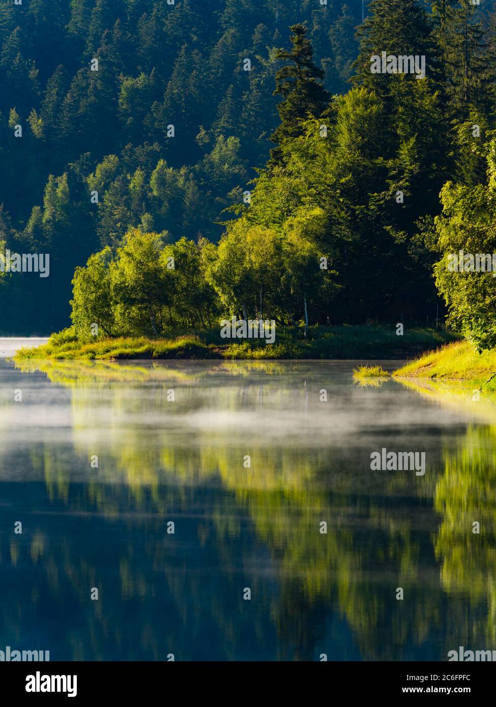 Forêt verte magnifique magnifique lac majestueux Mrzla vodica en Croatie Europe Banque D'Images