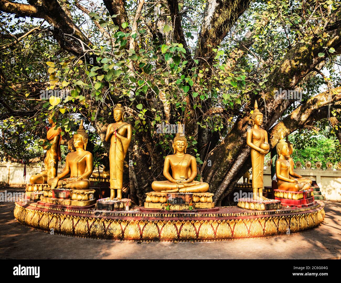 Statues de Bouddha d'or à Vientiane, Laos, Asie du Sud-est Banque D'Images