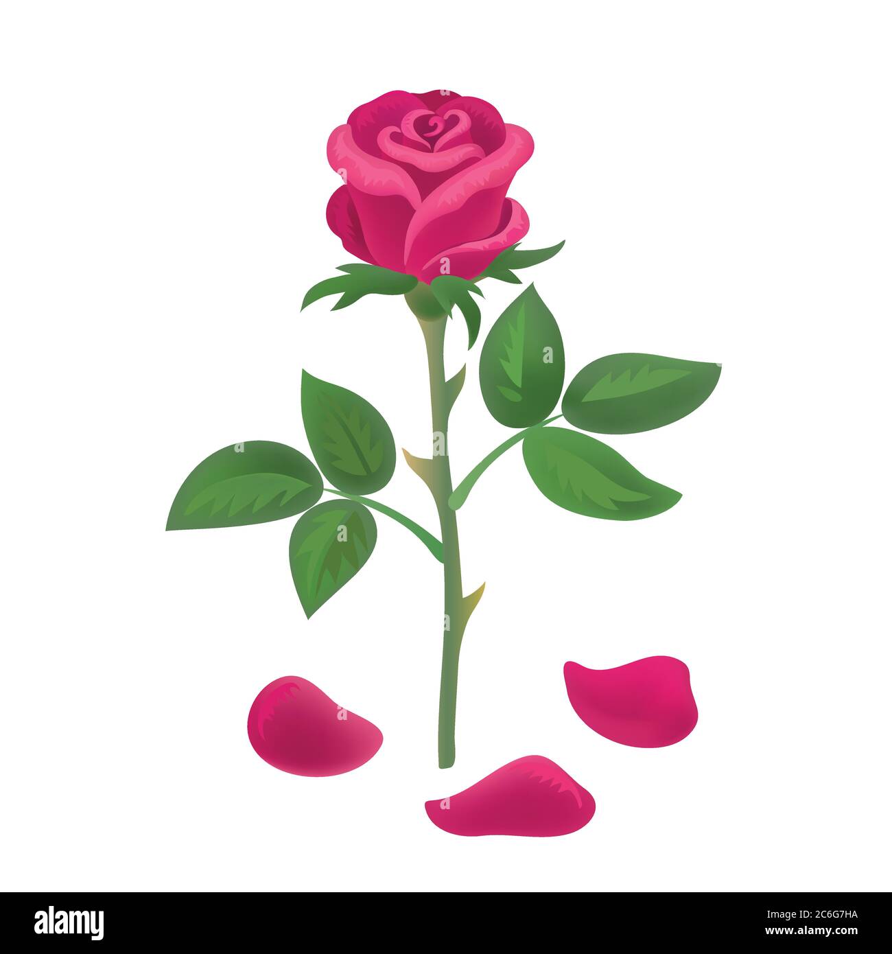 Rose rouge magnifique avec pétales tombant isolés sur fond blanc. Illustration vectorielle. Illustration de Vecteur