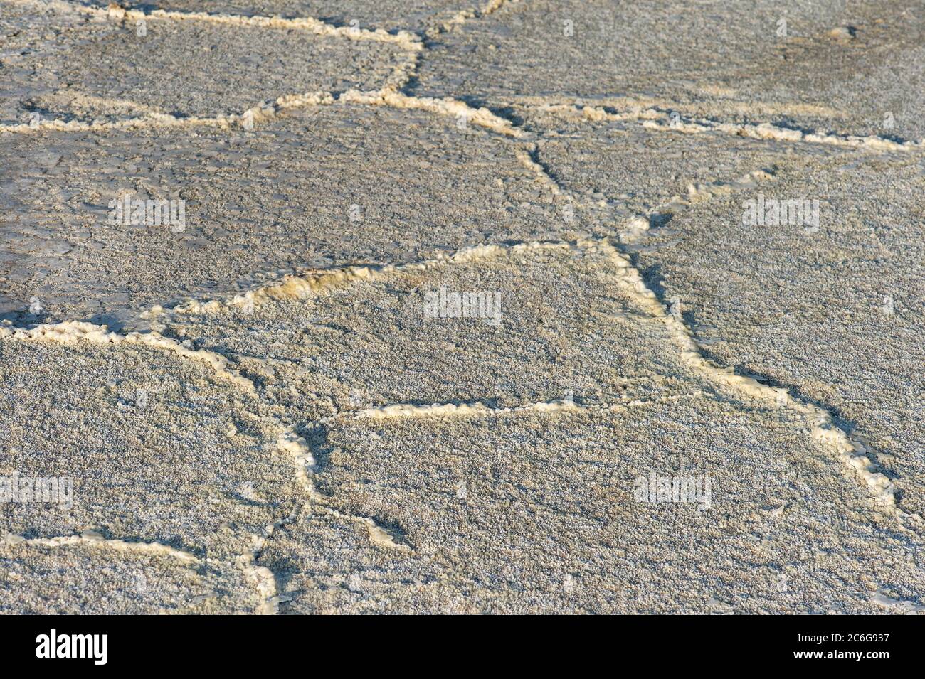 Croûte de sel sur le lac de sel d'Assale, lac Assale, à plus de 100 m sous le niveau de la mer, Hamadela, dépression de Danakil, triangle d'Afar, Éthiopie Banque D'Images