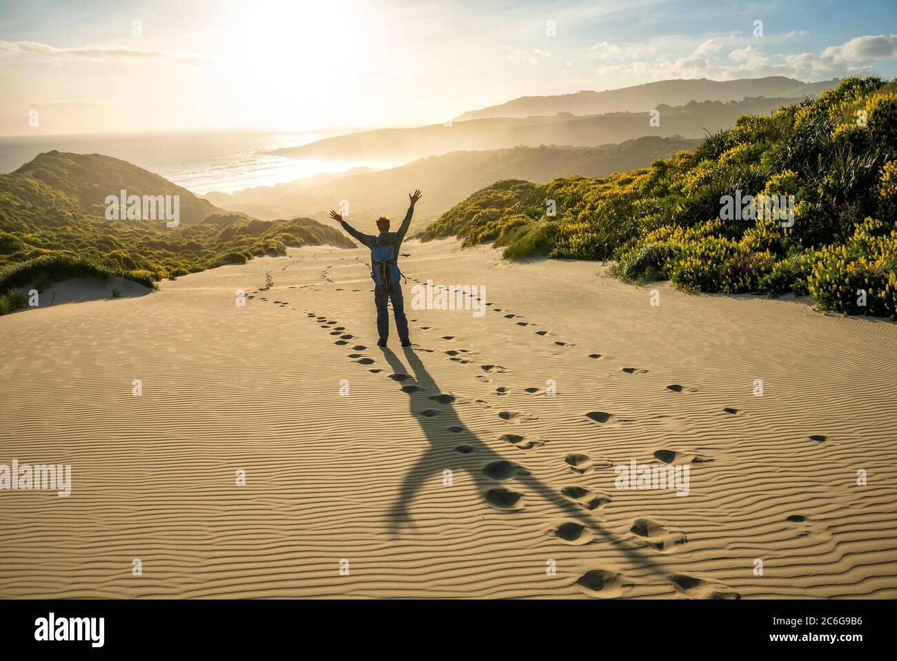 Jeune homme qui étire ses bras dans l'air, lupins jaunes (Lupinus luteus) sur les dunes de sable, vue de la côte, baie de Sandfly, Dunedin, Otago, péninsule d'Otago Banque D'Images