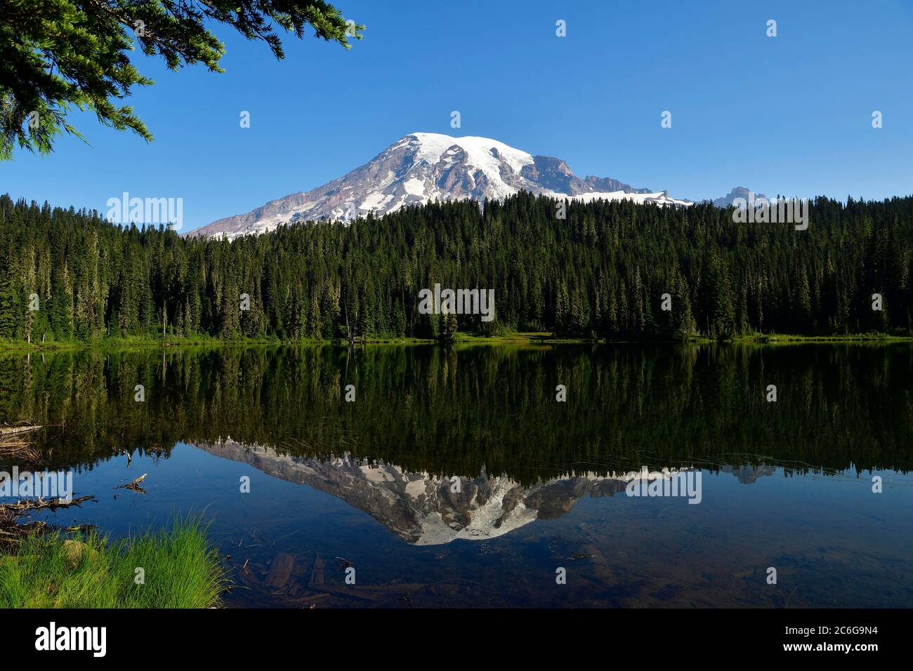 Reflet de l'eau du mont Rainier dans le lac Reflection, le parc national du mont Rainier, Cascade Range, Cascade Mountains, Washington, Pacifique Nord-Ouest Banque D'Images