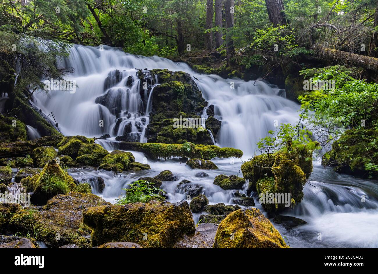 Pearsony Falls, Sud, Oregon, États-Unis, Amérique du Nord Banque D'Images