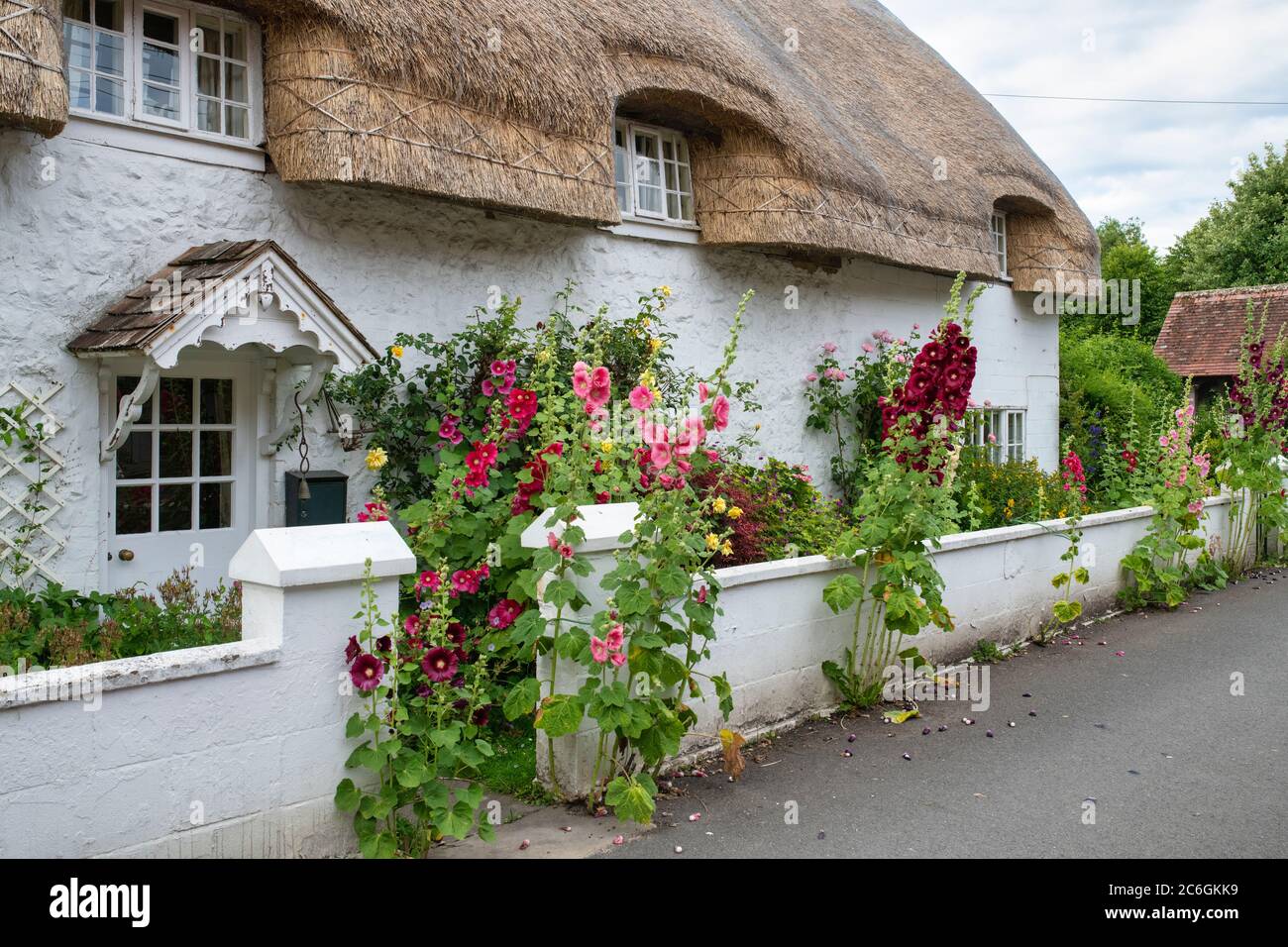 Alcea rosea. Il est situé à l'extérieur d'un cottage en chaume à Avebury. Wiltshire, Angleterre Banque D'Images