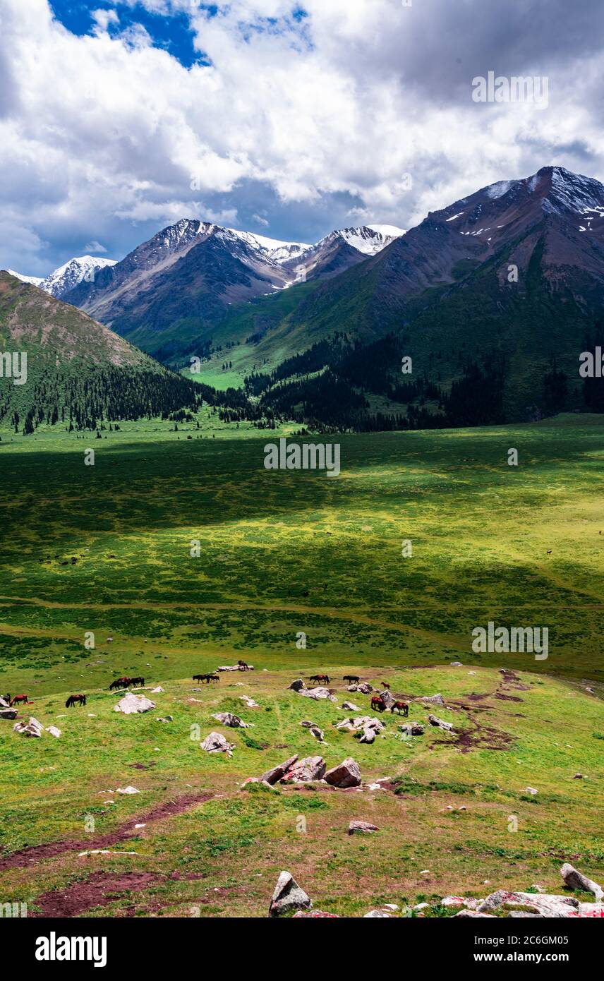 Un paysage merveilleux le long de la route Duku, qui est reconnue comme la plus belle autoroute, nord-ouest de la Chine Xinjiang Uyghur région autonome, 13 Ju Banque D'Images