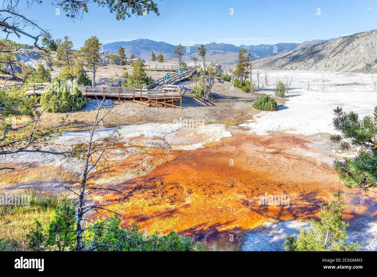 Paysage surréaliste de Canary Spring terrasse thermale principale à Mammoth Hot Springs dans le parc national de Yellowstone. L'accumulation rapide de travertin cause la terre Banque D'Images