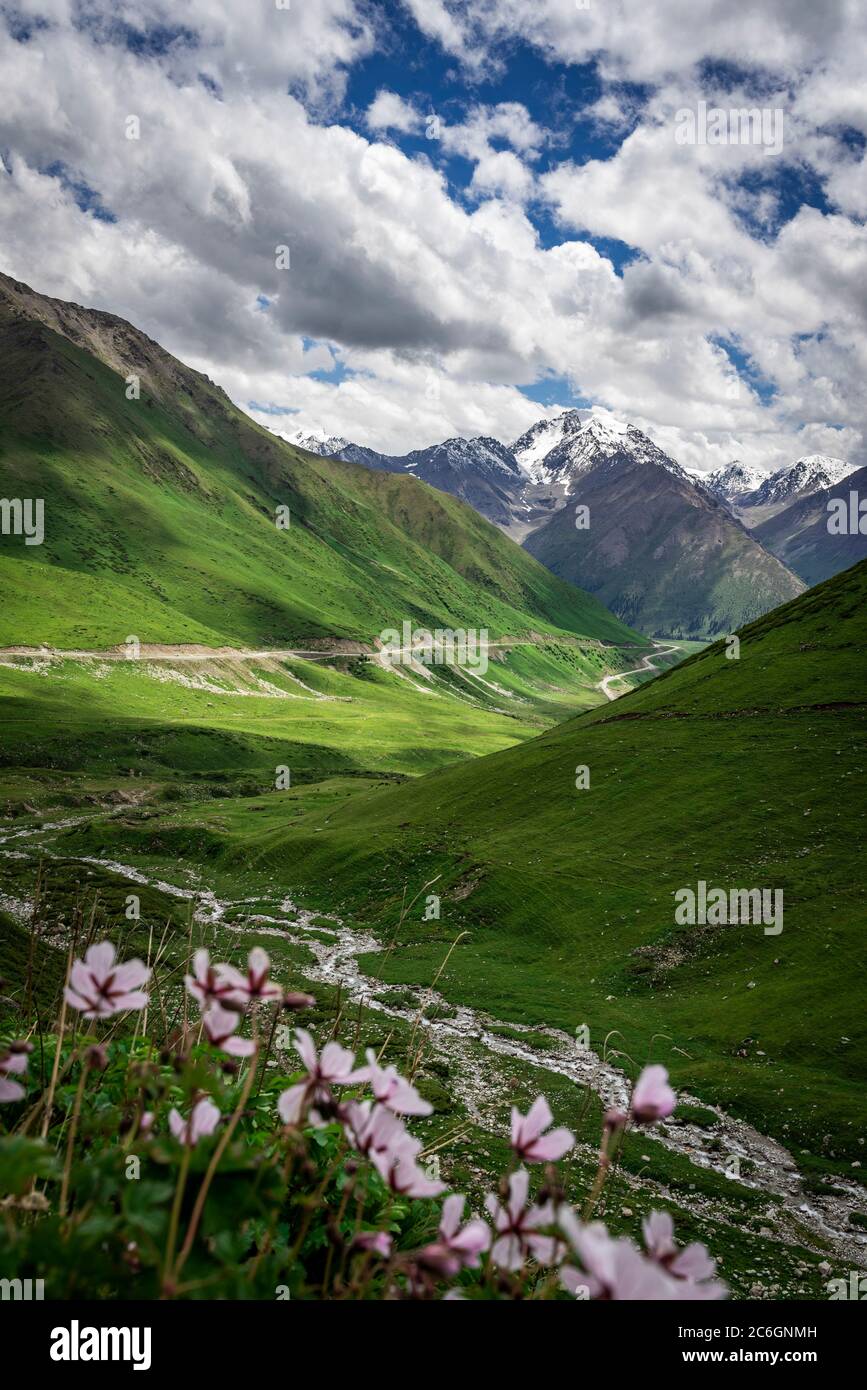 Un paysage merveilleux le long de la route Duku, qui est reconnue comme la plus belle autoroute, nord-ouest de la Chine Xinjiang Uyghur région autonome, 13 Ju Banque D'Images