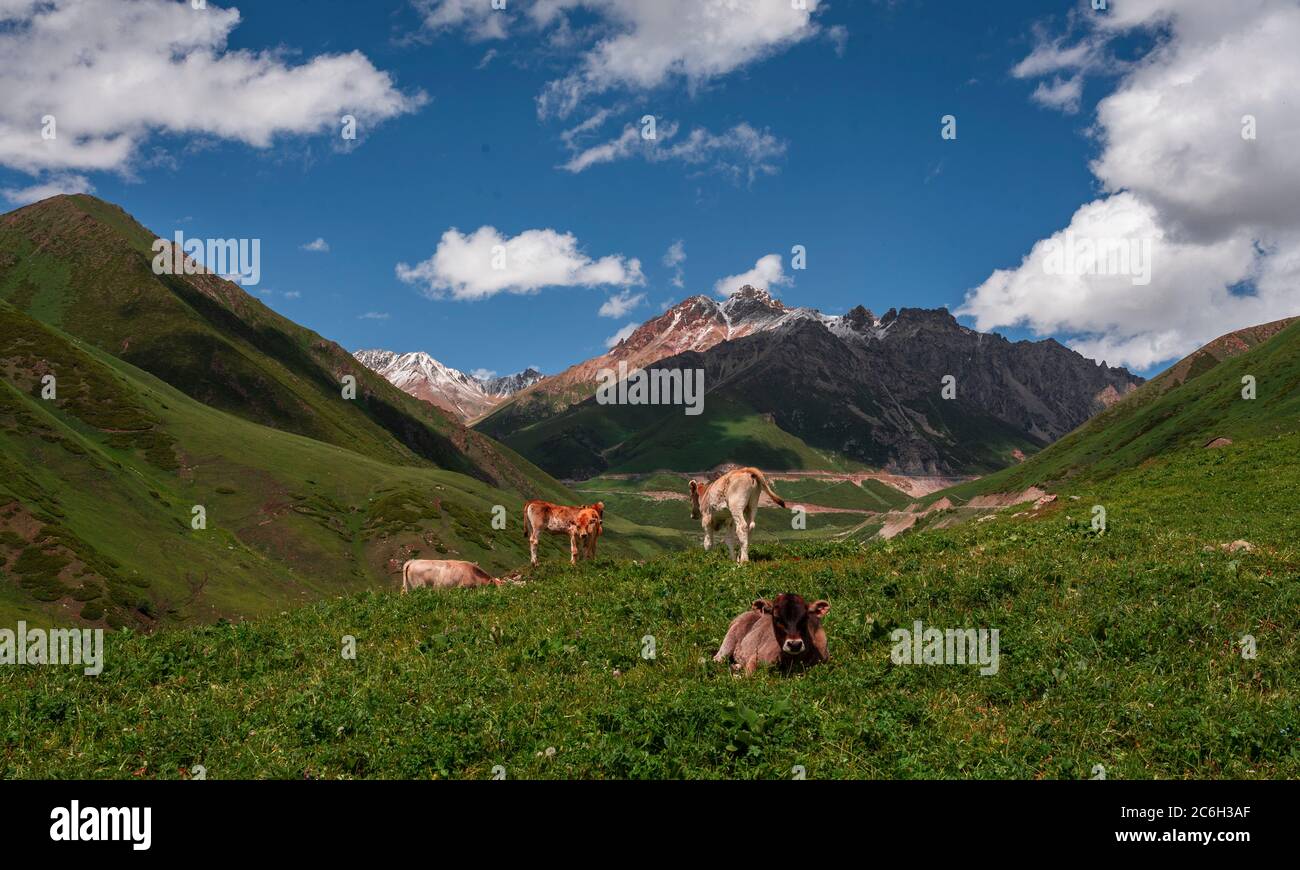 Un paysage merveilleux le long de la route Duku, qui est reconnue comme la plus belle autoroute, nord-ouest de la Chine Xinjiang Uyghur région autonome, 13 Ju Banque D'Images