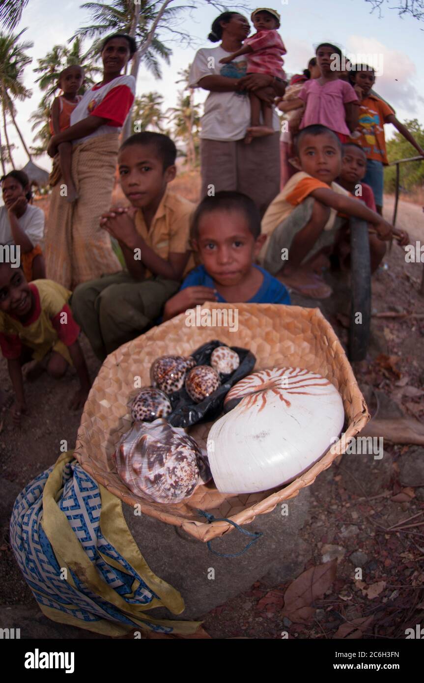 Enfants dans un village avec nautilus, cowrie et autres coquillages à vendre, Lewaling Village, Lembata Island, à l'est de Flores, Indonésie Banque D'Images