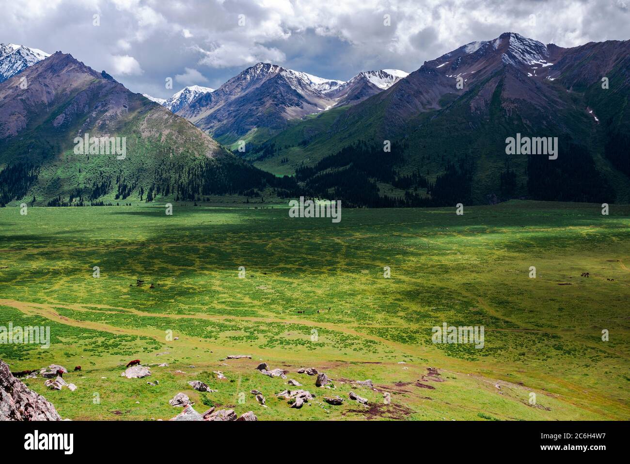 Un paysage merveilleux le long de la route Duku, qui est reconnue comme la plus belle autoroute, nord-ouest de la Chine Xinjiang Uyghur région autonome, 13 Ju Banque D'Images