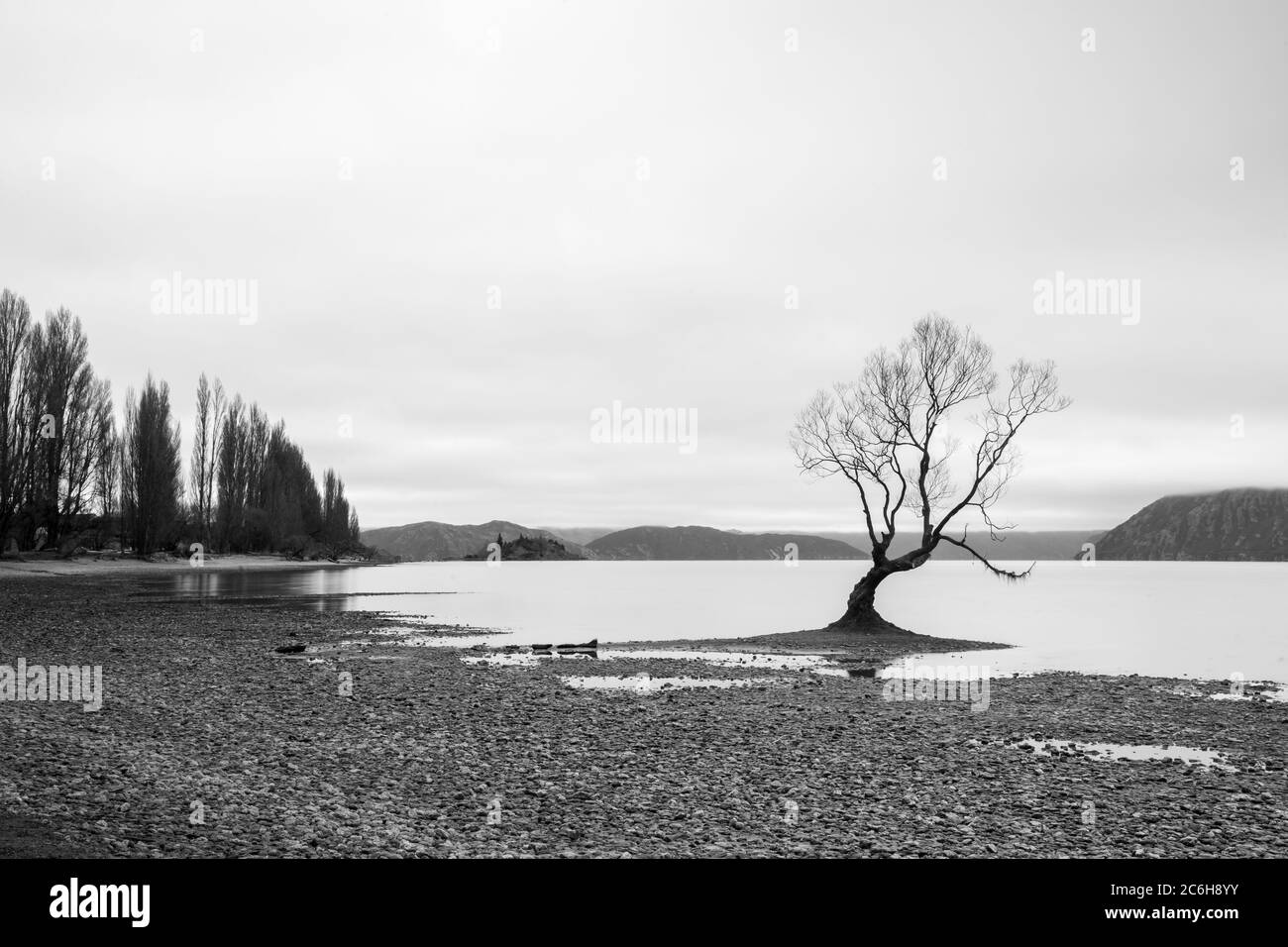 L'arbre solitaire au lac Wanaka avec fond de brume, Nouvelle-Zélande. Banque D'Images