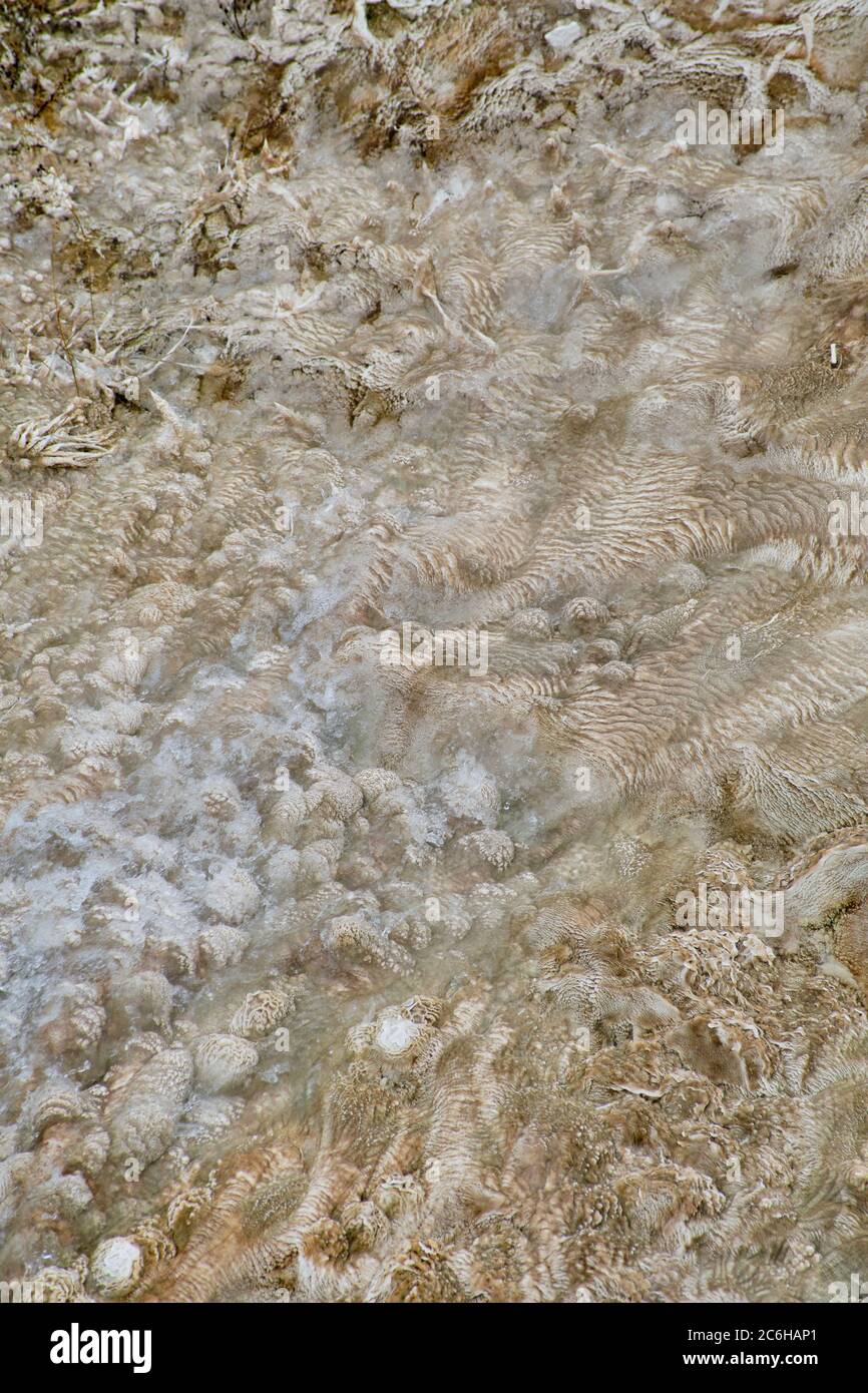 Bandes colorées de bactéries thermophiles dans le parc national de Yellowstone Banque D'Images