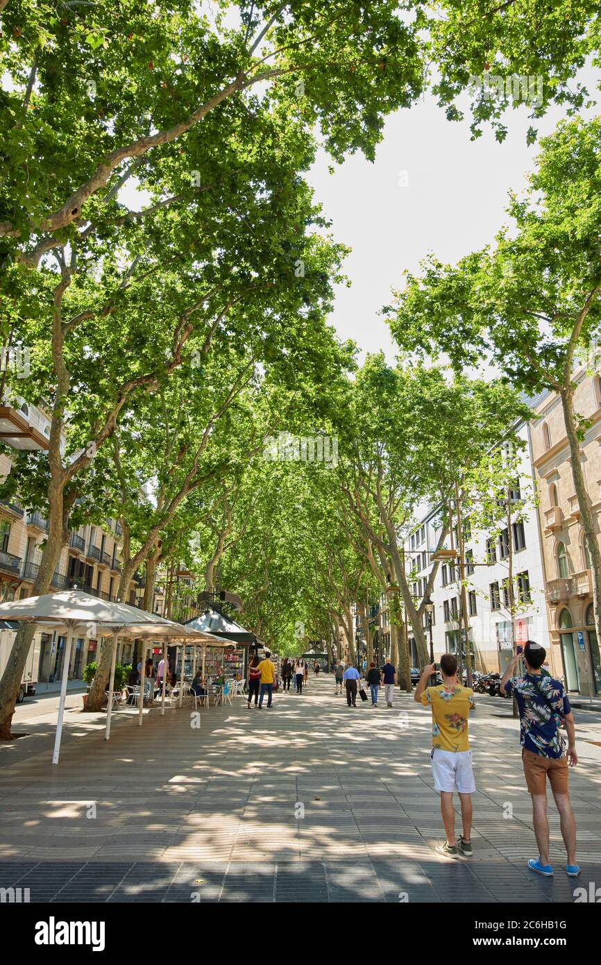 Las Ramblas à Barcelone, Espagne Banque D'Images