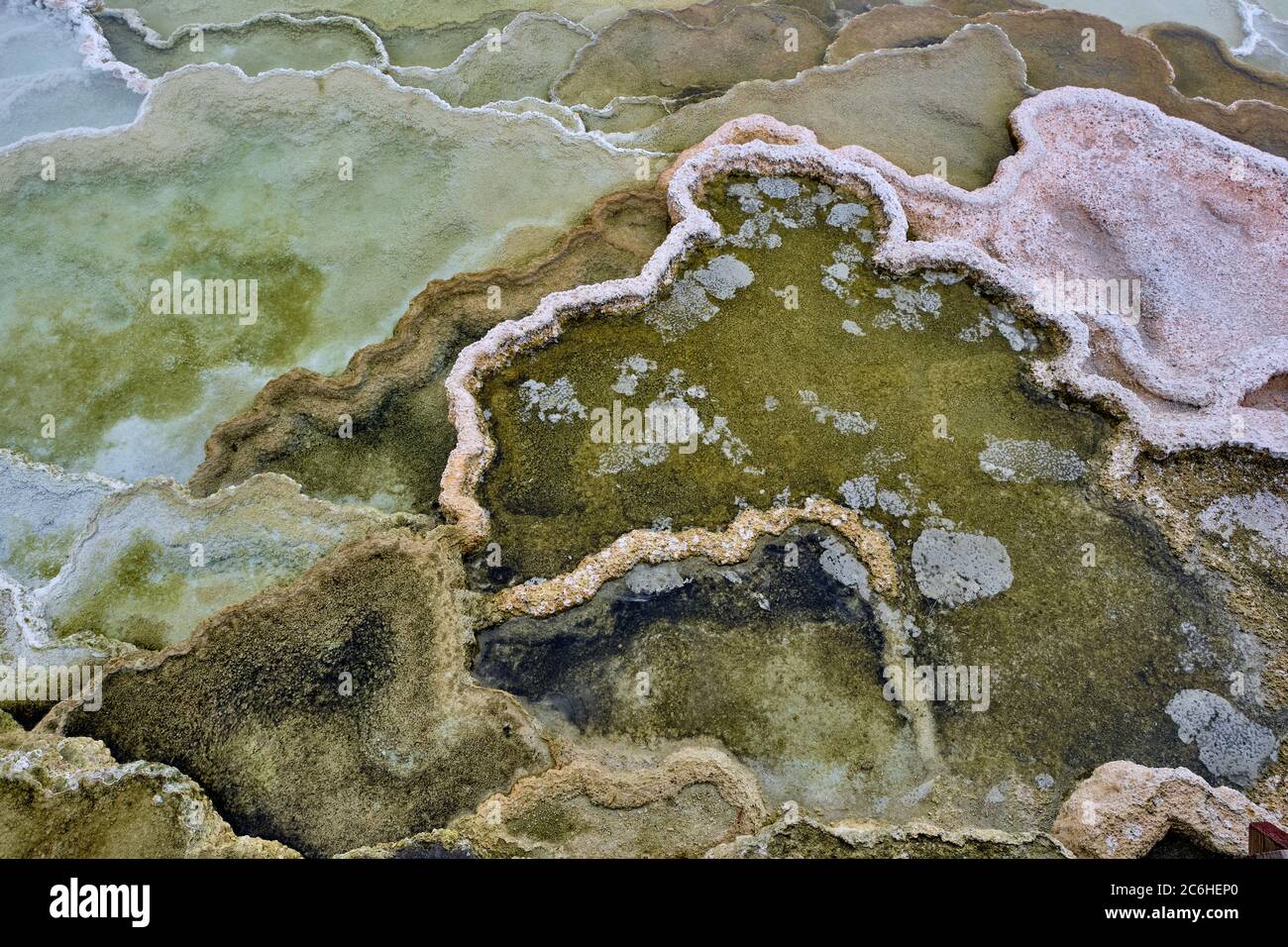 Bandes colorées de bactéries thermophiles dans le parc national de Yellowstone Banque D'Images