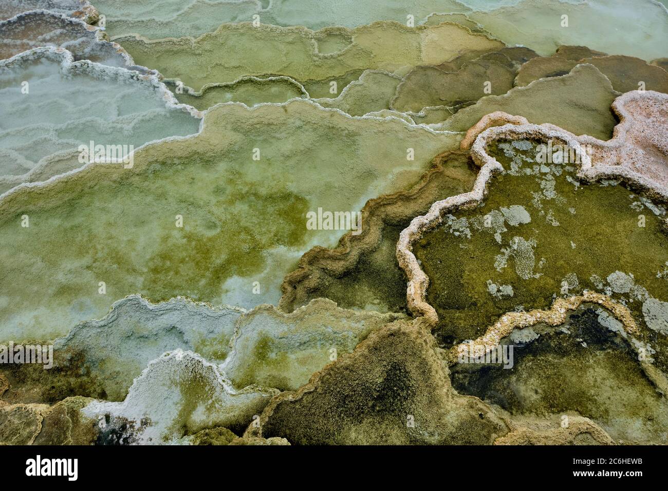 Bandes colorées de bactéries thermophiles dans le parc national de Yellowstone Banque D'Images