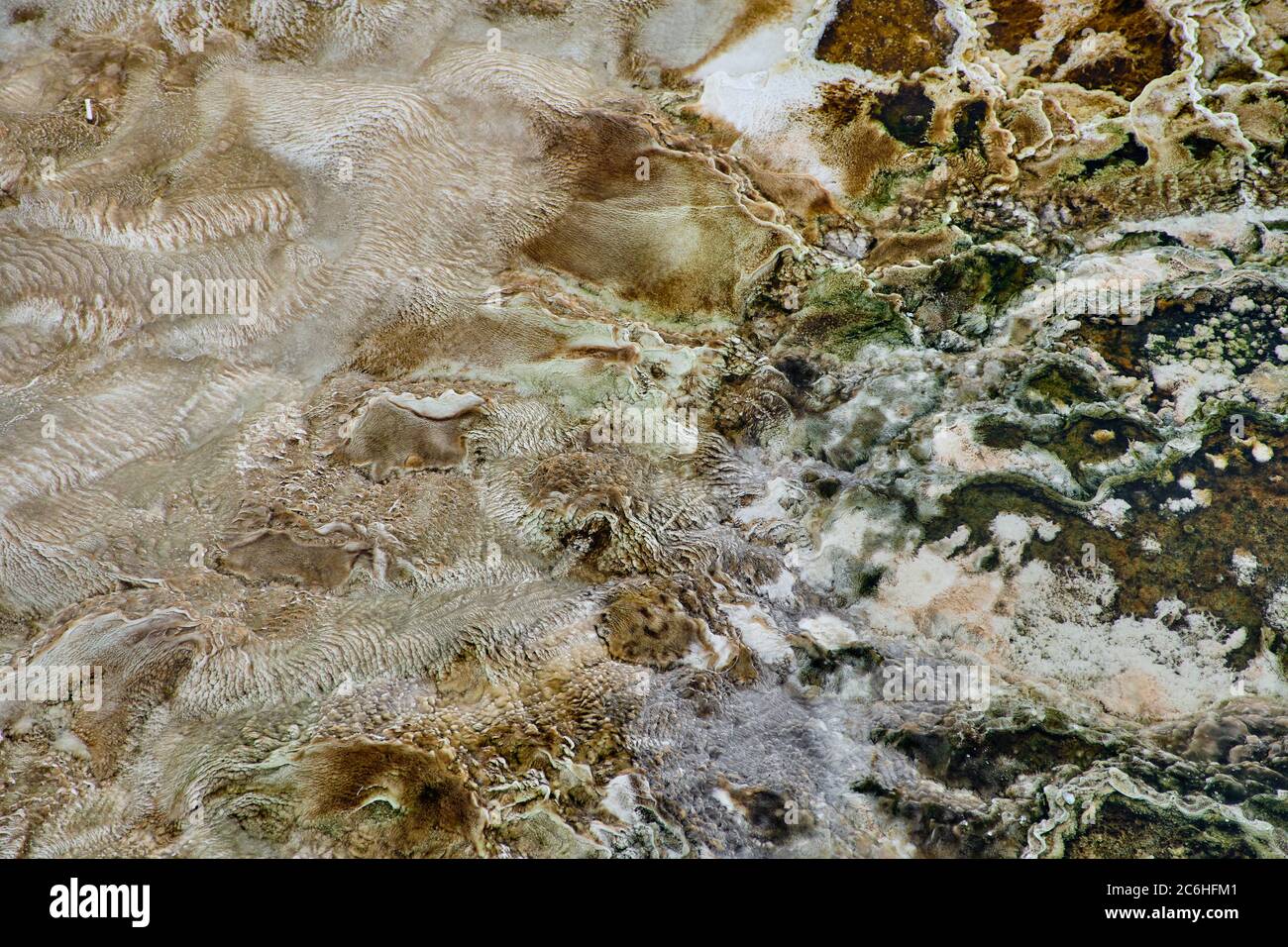 Bandes colorées de bactéries thermophiles dans le parc national de Yellowstone Banque D'Images