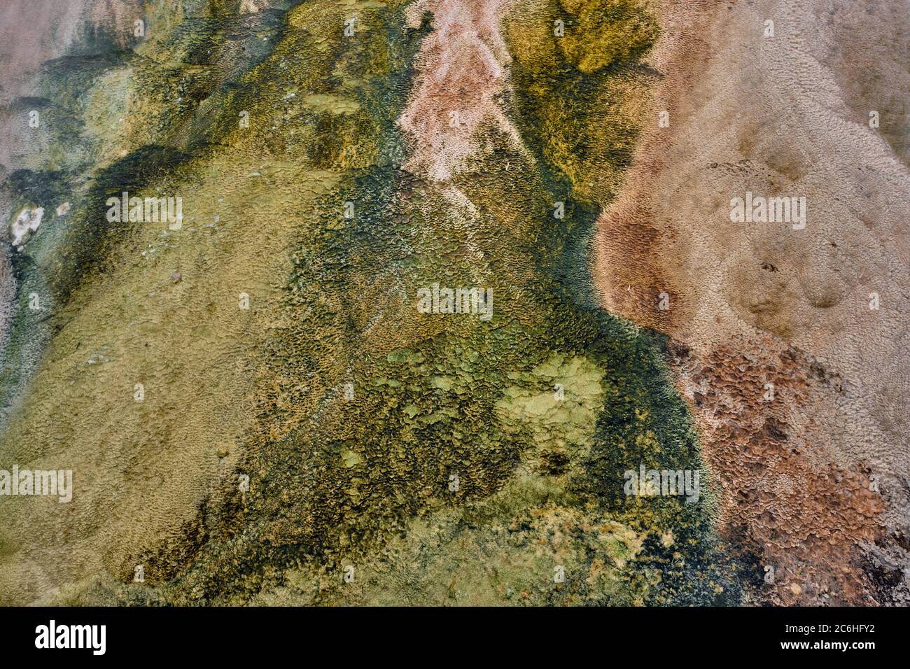 Bandes colorées de bactéries thermophiles dans le parc national de Yellowstone Banque D'Images