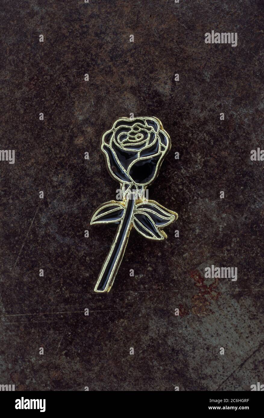 Broche en émail ou badge ou broche de rose noire avec tige et feuilles Banque D'Images